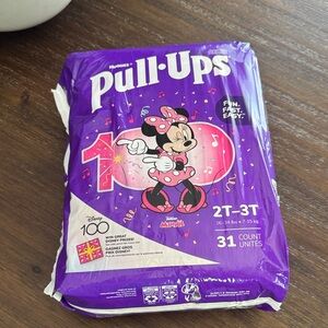 Pull-Ups Training Pants - 2T-3T (31 count)